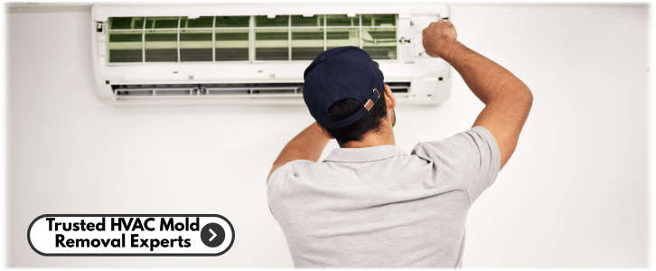 HVAC Mold Removal Methuen MA